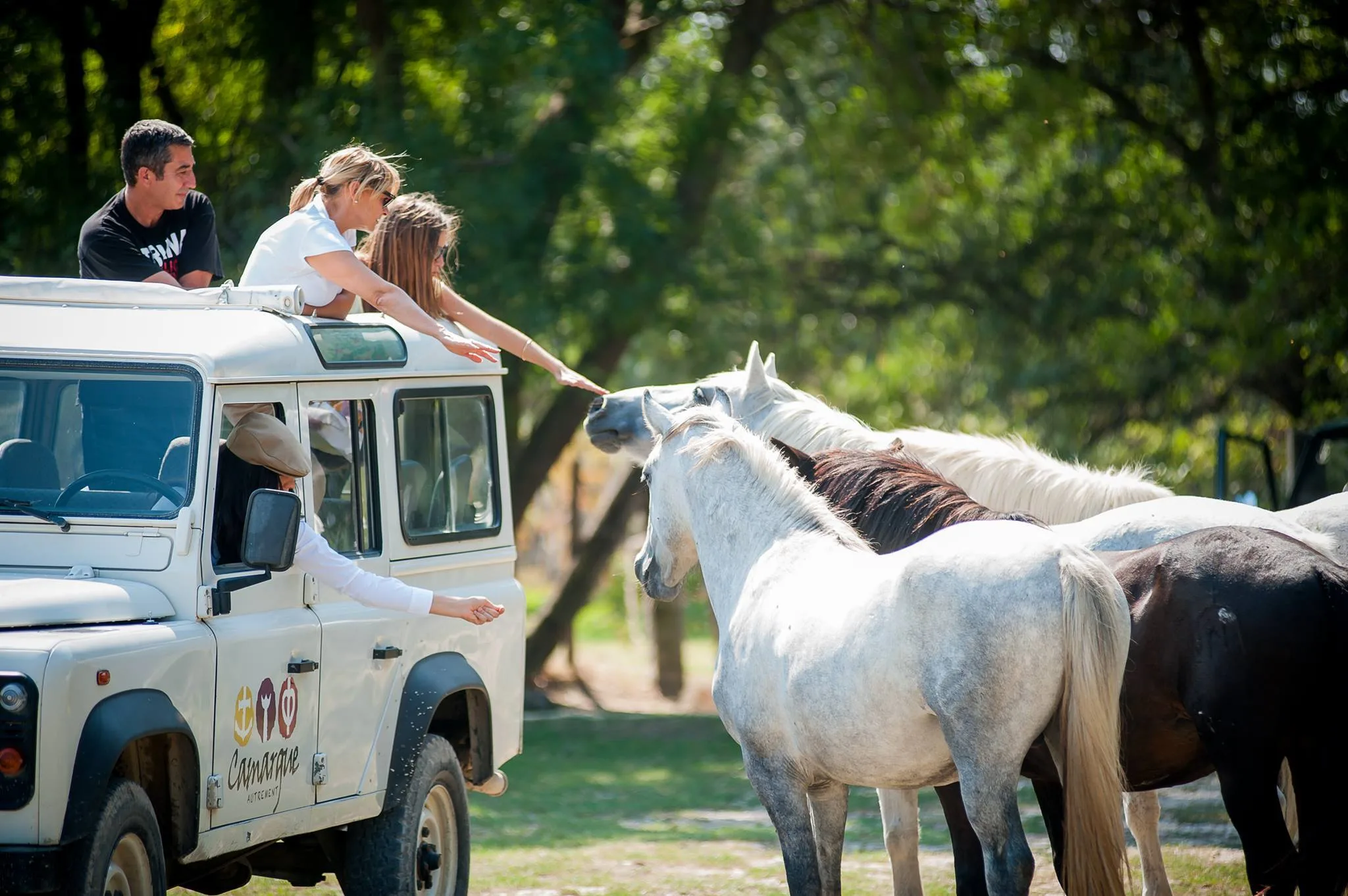 Camargue autrement safari