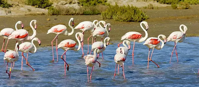 Domaine du Grand Malherbes Camargue