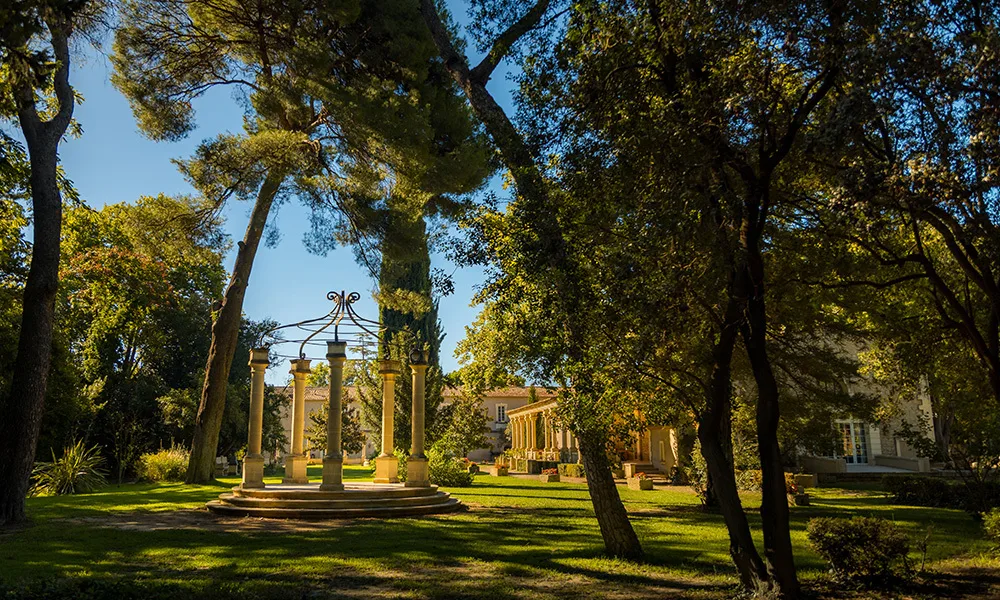 Parc grand malherbes arbres