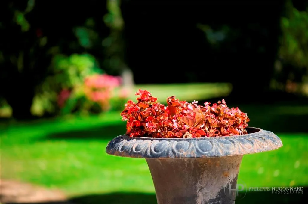 20090627 0000mariage PO